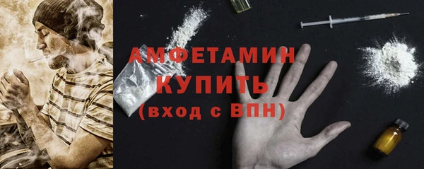 ПСИЛОЦИБИНОВЫЕ ГРИБЫ Гусь-Хрустальный
