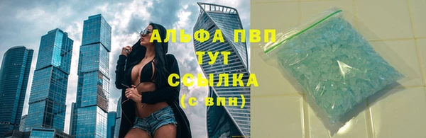 трава Гусиноозёрск