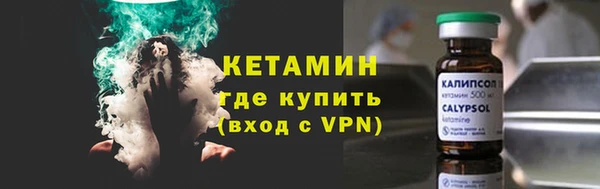 ПСИЛОЦИБИНОВЫЕ ГРИБЫ Гусев