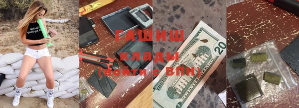 ПСИЛОЦИБИНОВЫЕ ГРИБЫ Гусев