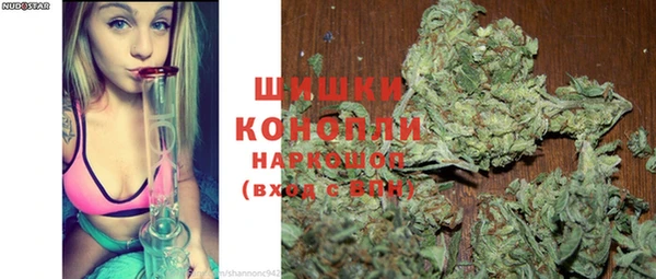 трава Гусиноозёрск