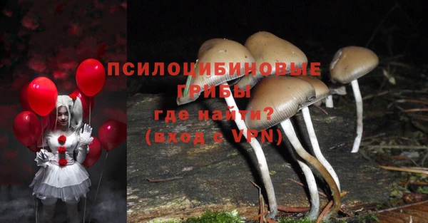 трава Гусиноозёрск
