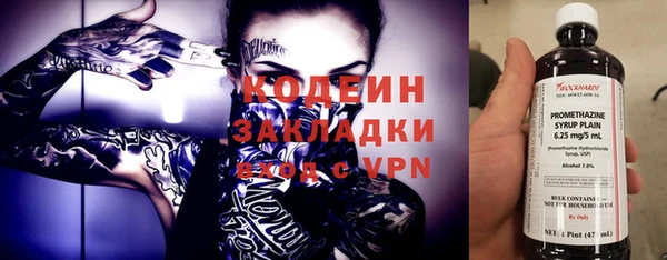 трава Гусиноозёрск