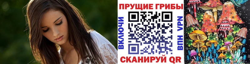 Галлюциногенные грибы Psilocybe  Купить где  Камень-на-Оби 